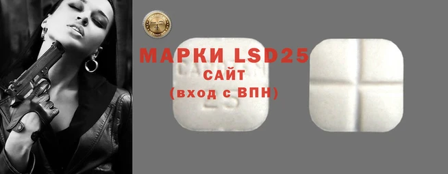 эйфоретик Алзамай